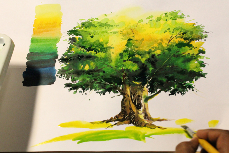 D'source Water Color Illustration of Tree | Illustration Techniques | D