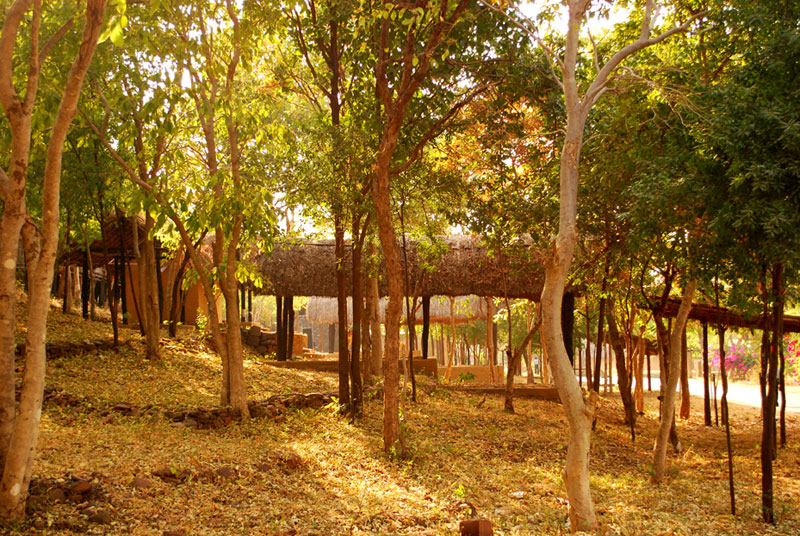 D'source Umanglai Sacred grove of Manipur Sacred Groves D'Source