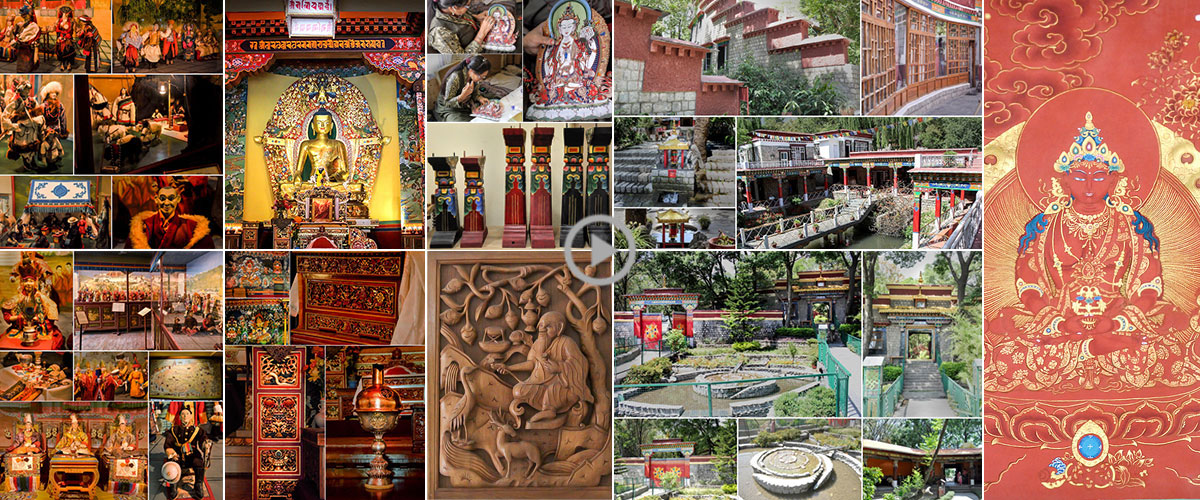 Things to do in norbulingka image