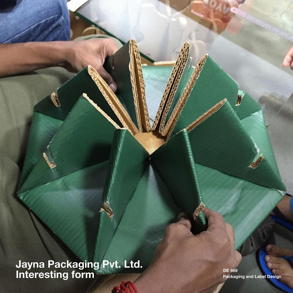 D'source Jayna Packaging Exposure Visits D'Source Digital Online