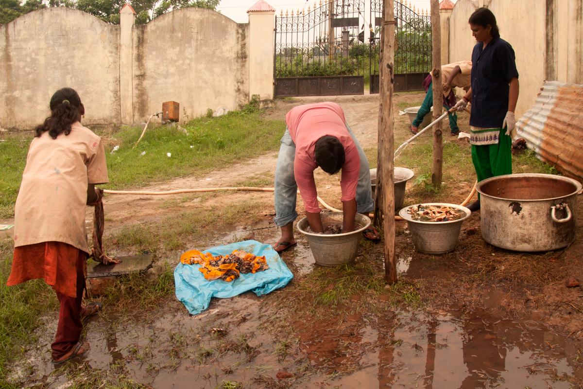 It is then again washed with plain water. col-sm-4