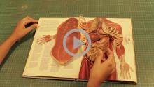 Pop-up Design - Human Anatomy
