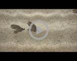 Sand Cutout Animation